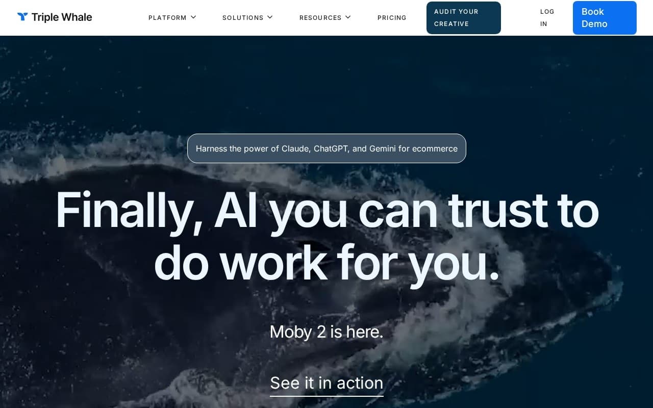 Triple Whale homepage screenshot